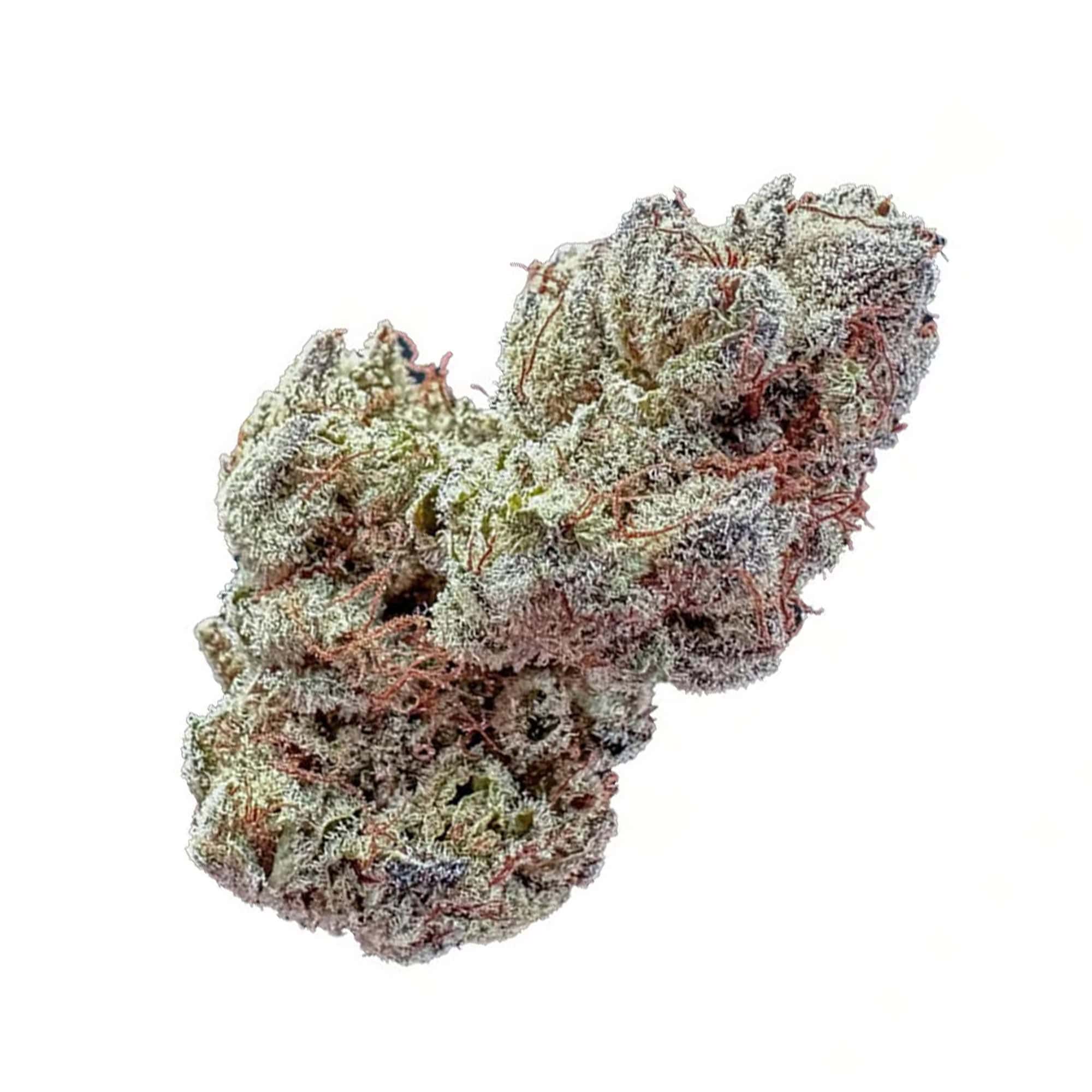 Watermelon Runtz THCA Flower Wholesale Pounds