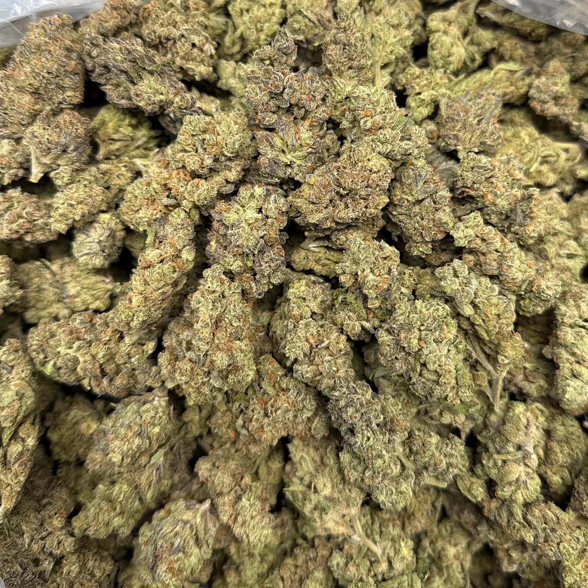 Bacio Cheap THCA Flower Pounds