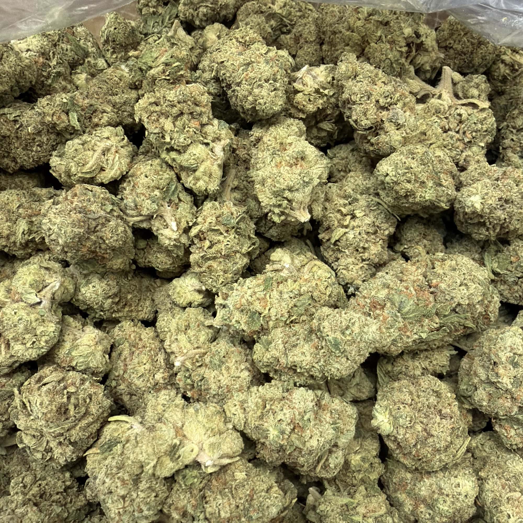 Mule Fuel Cheap THCA Flower Pounds