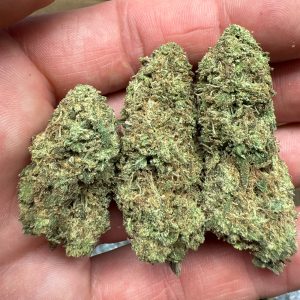 Mule Fuel THCA Flower Pounds
