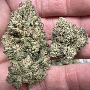 Garlic Mintz THCA Flower Pounds