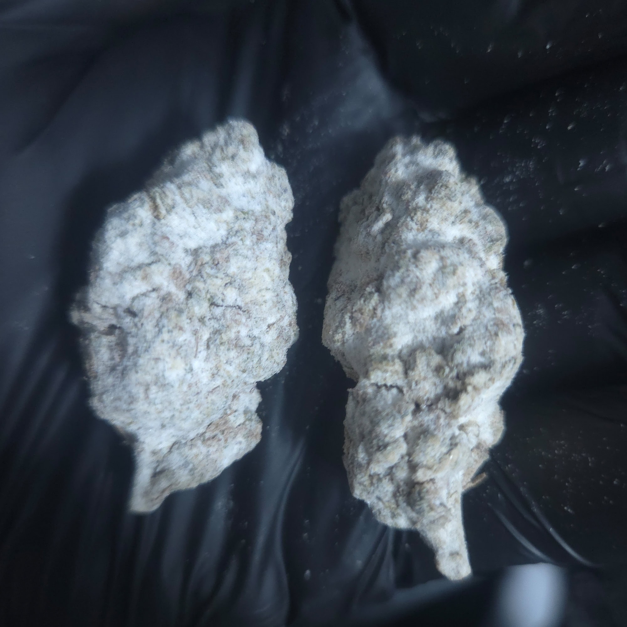 Candyland THCA Snowcaps - Image 2