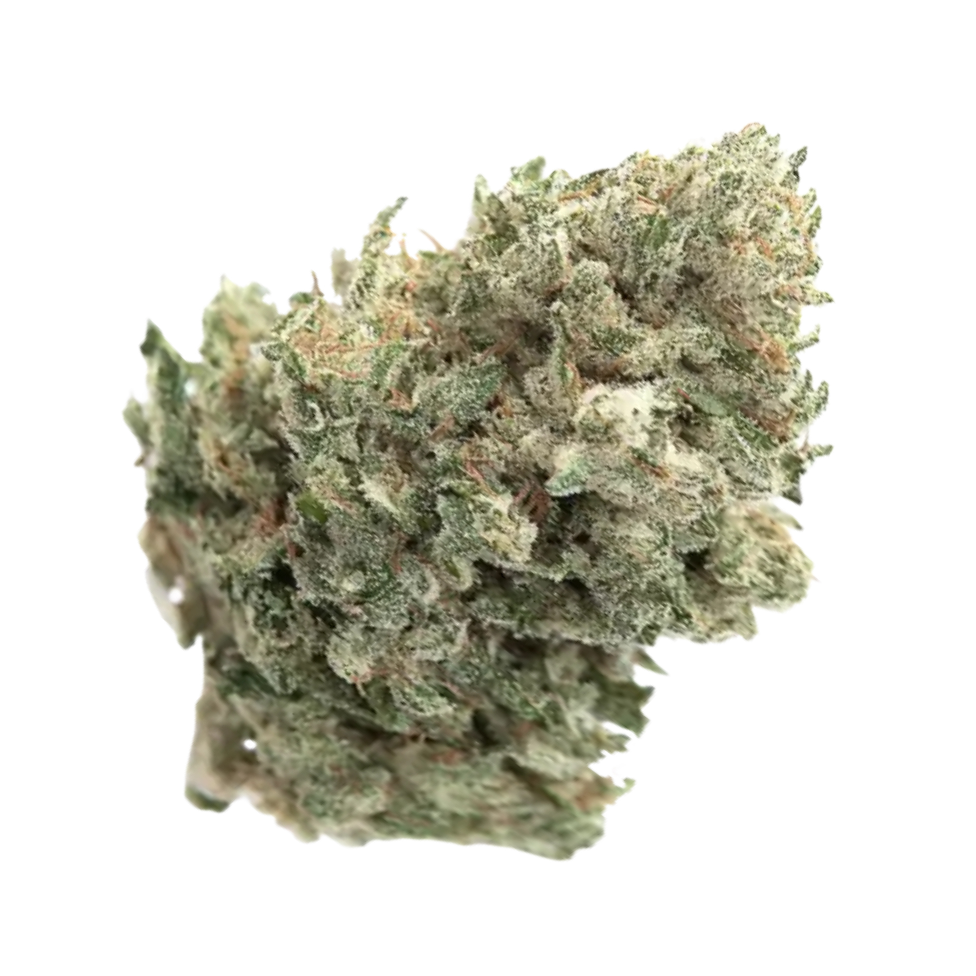 Drippin Dots THCA Flower Pounds