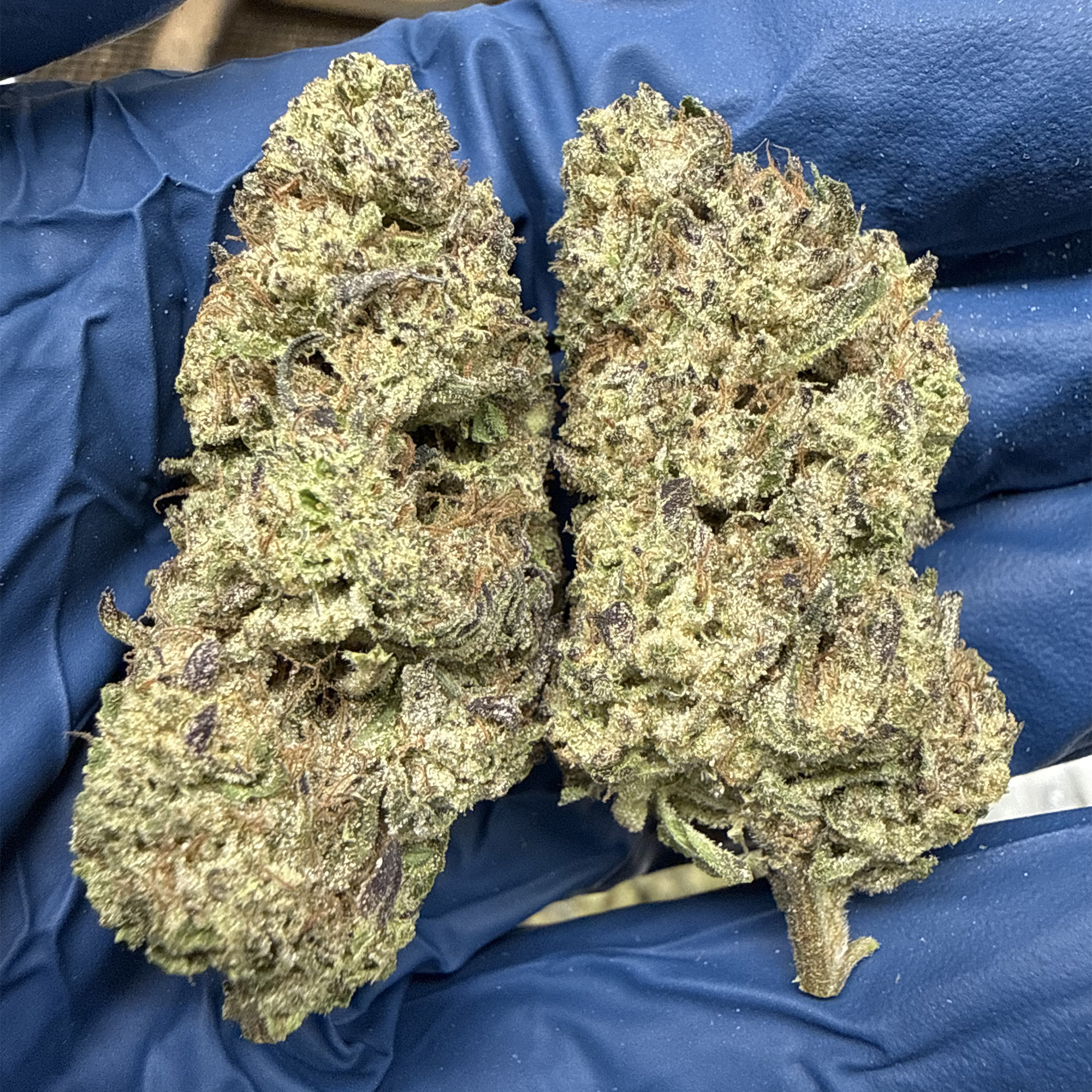 Hashburger THCA Flower Pounds