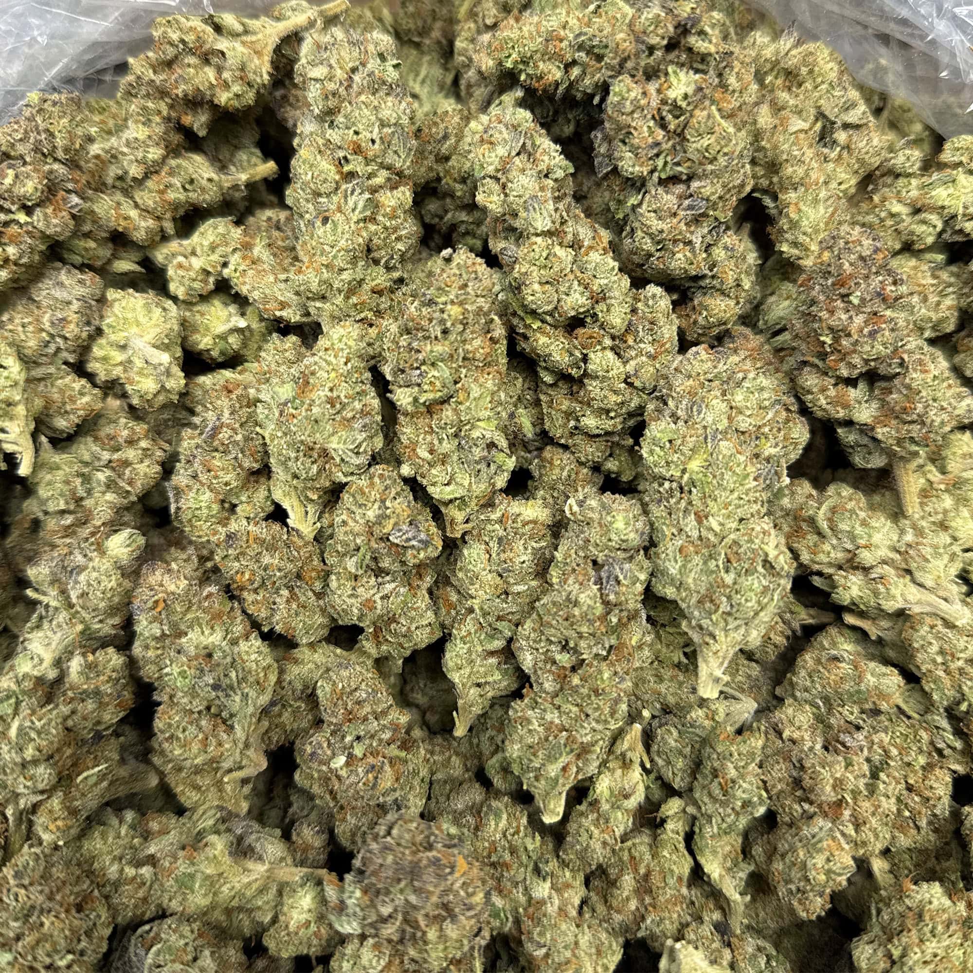 Hashburger Cheap THCA Flower Pounds