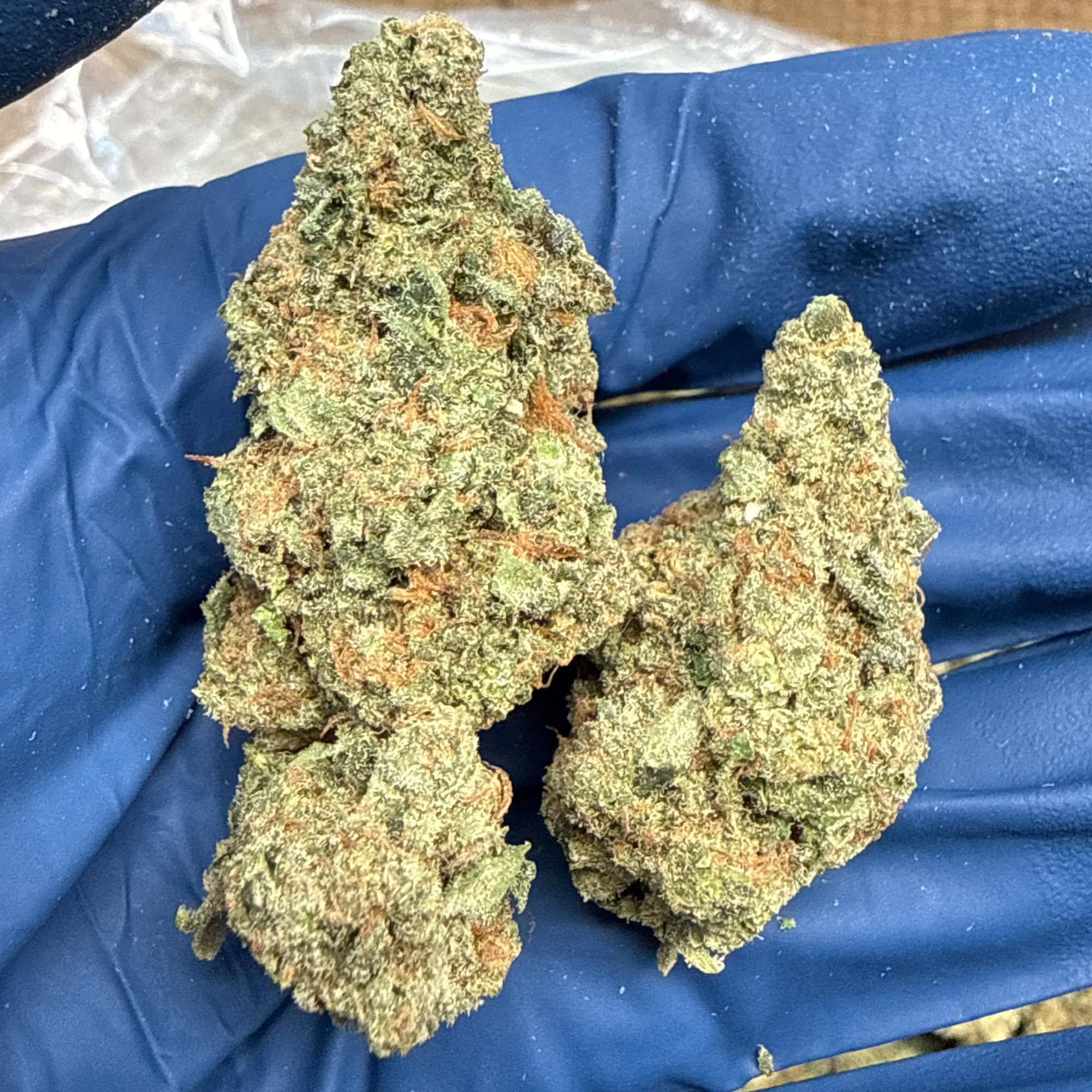 Jack Herer THCA Flower for Sale