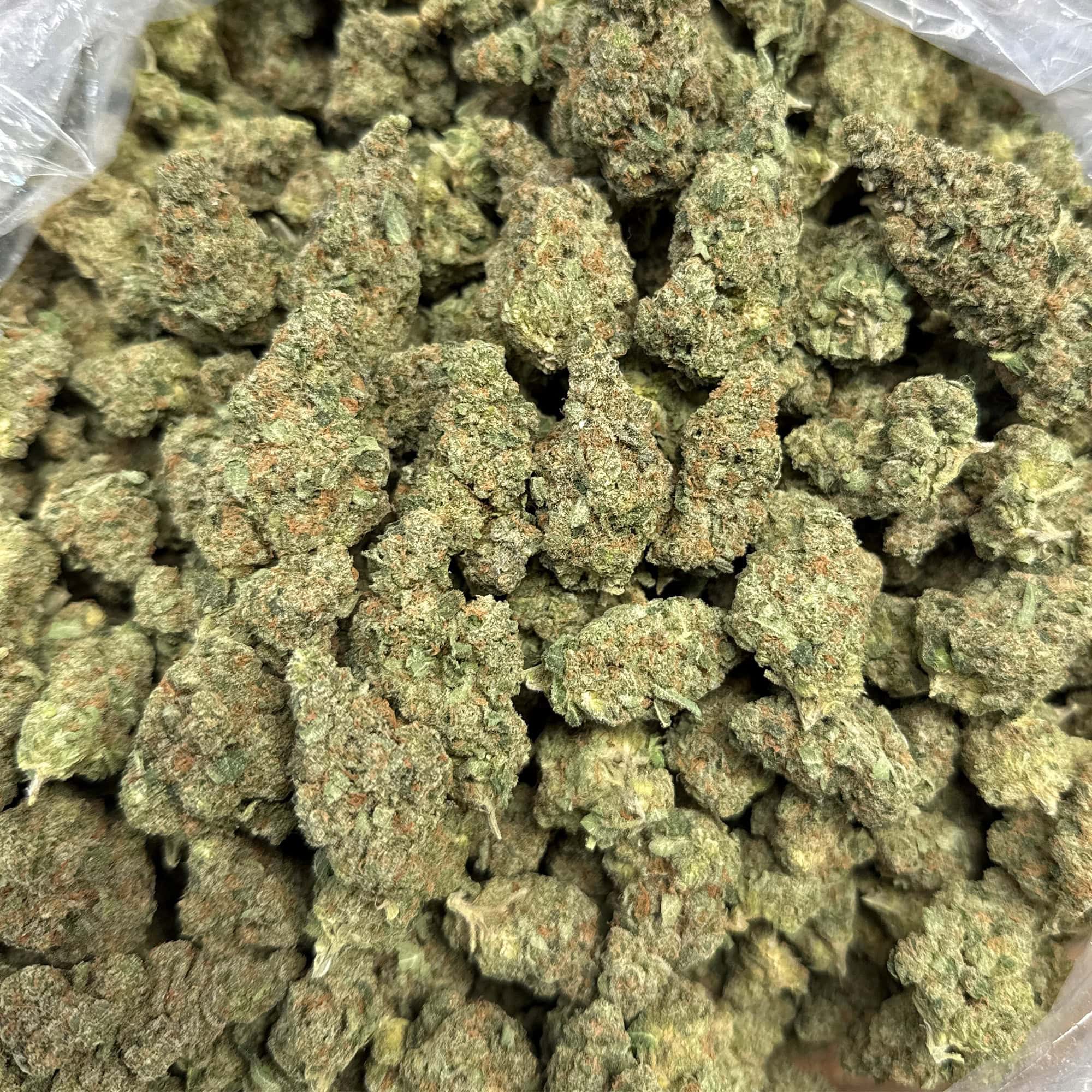 Jack Herer THCA Cheap THCA Flower