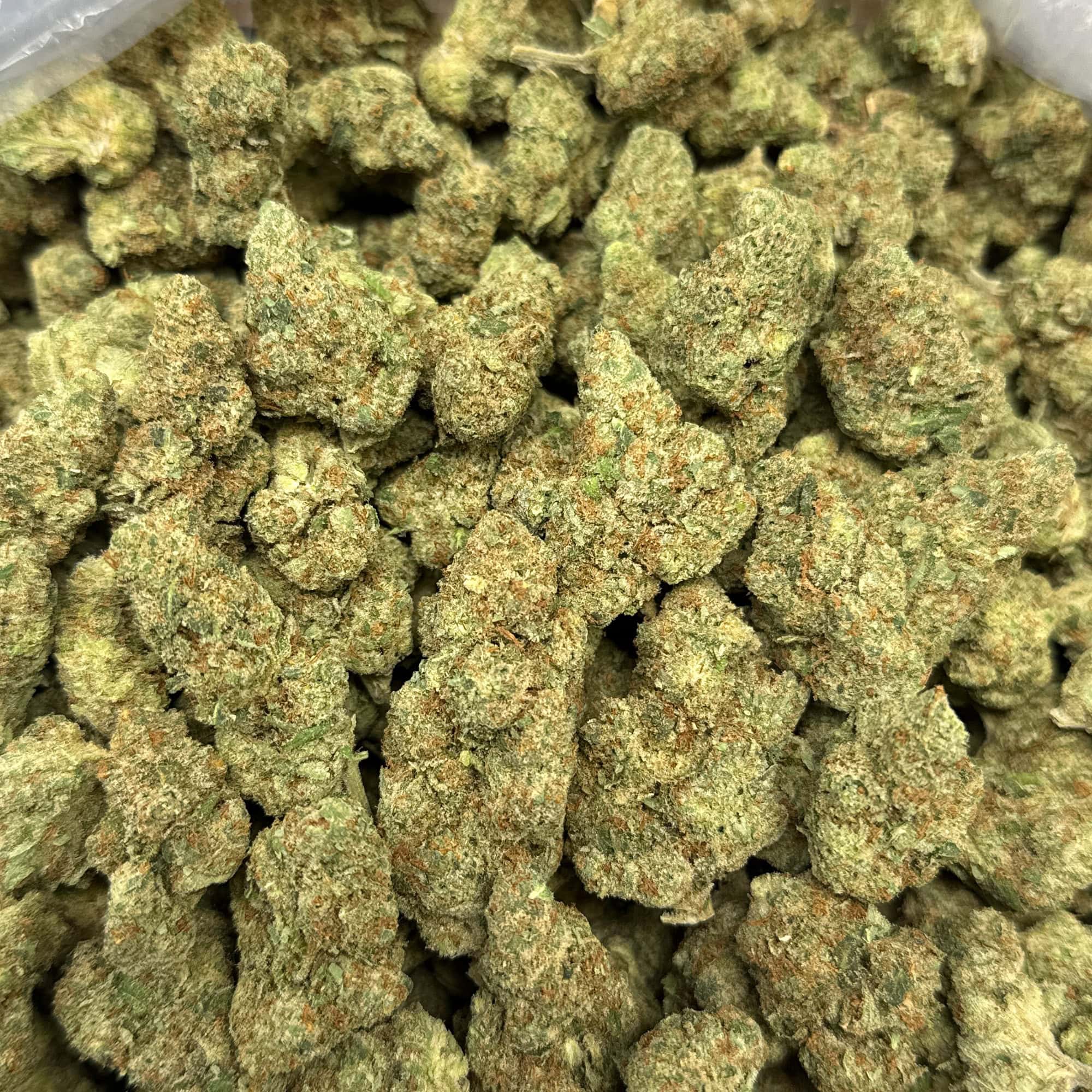 Jack Herer Bulk THCA Flower for Sale