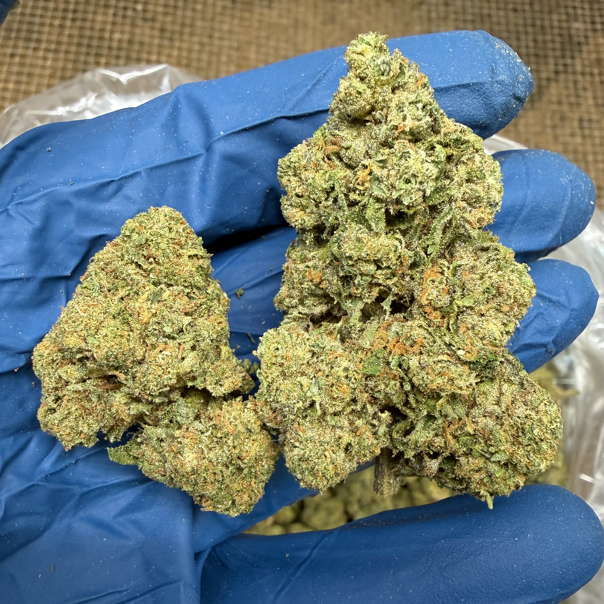 Garlic Mintz Cheap THCA Flower for Sale