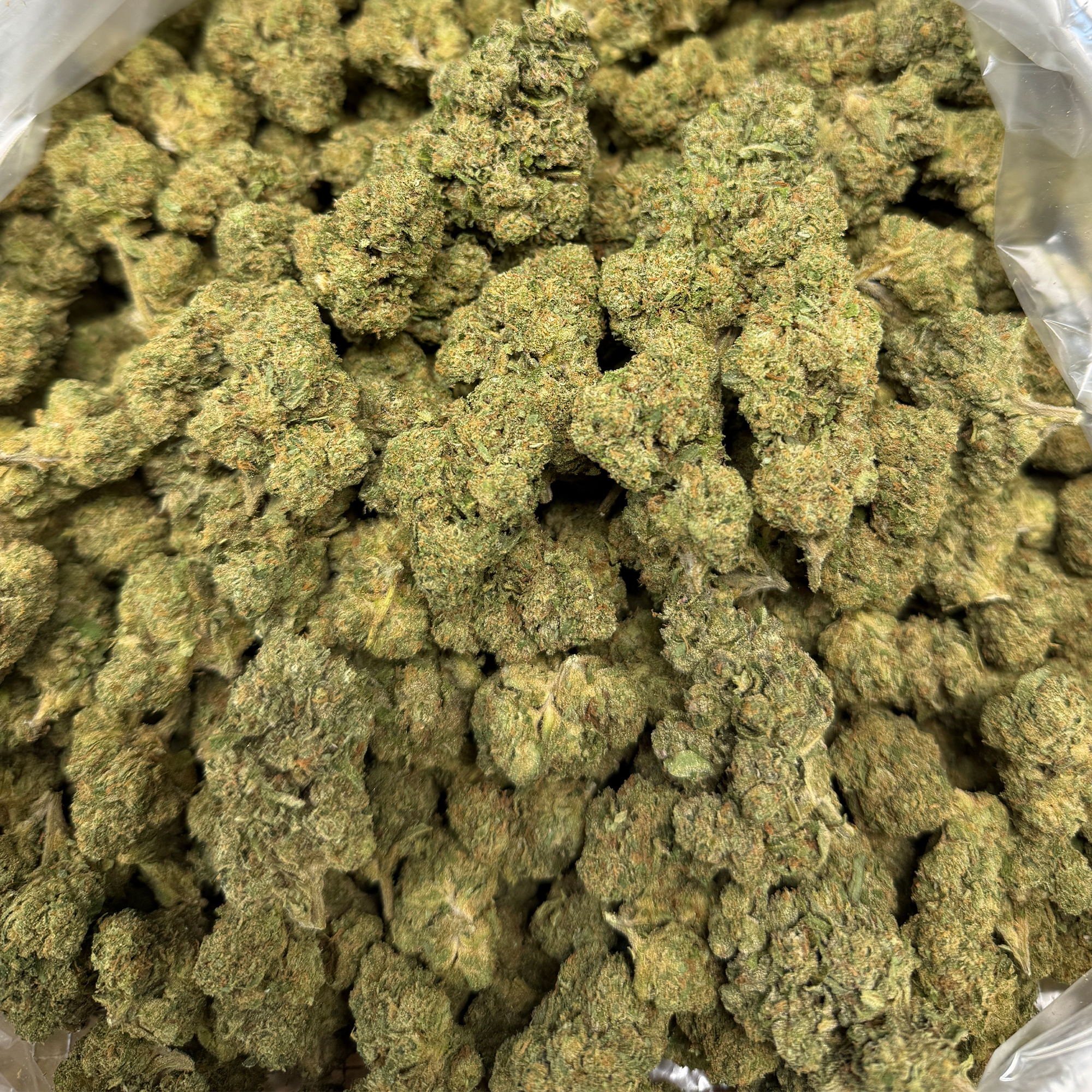 Garlic Mintz THCA Flower Wholesale