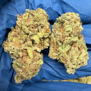 Garlic Mintz THCA Flower for Sale