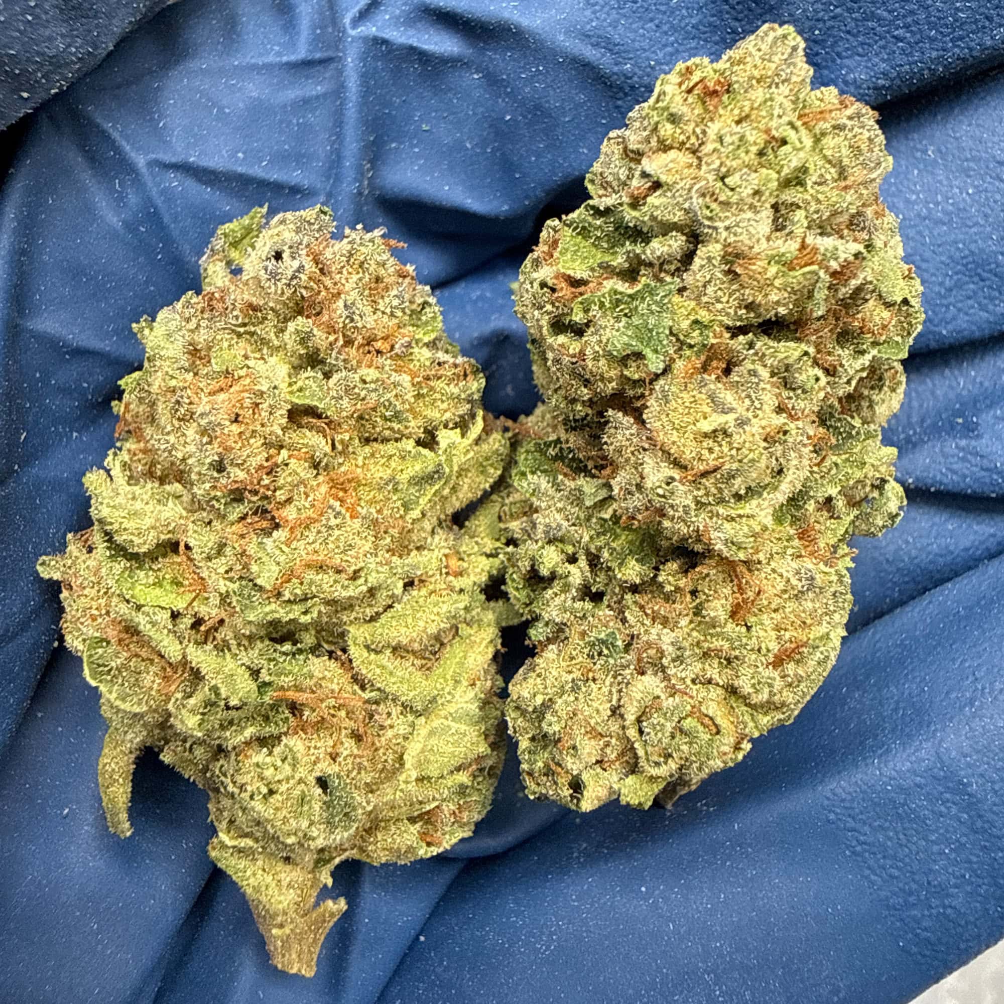 Grape Ape Cheap Bulk THCA Flower