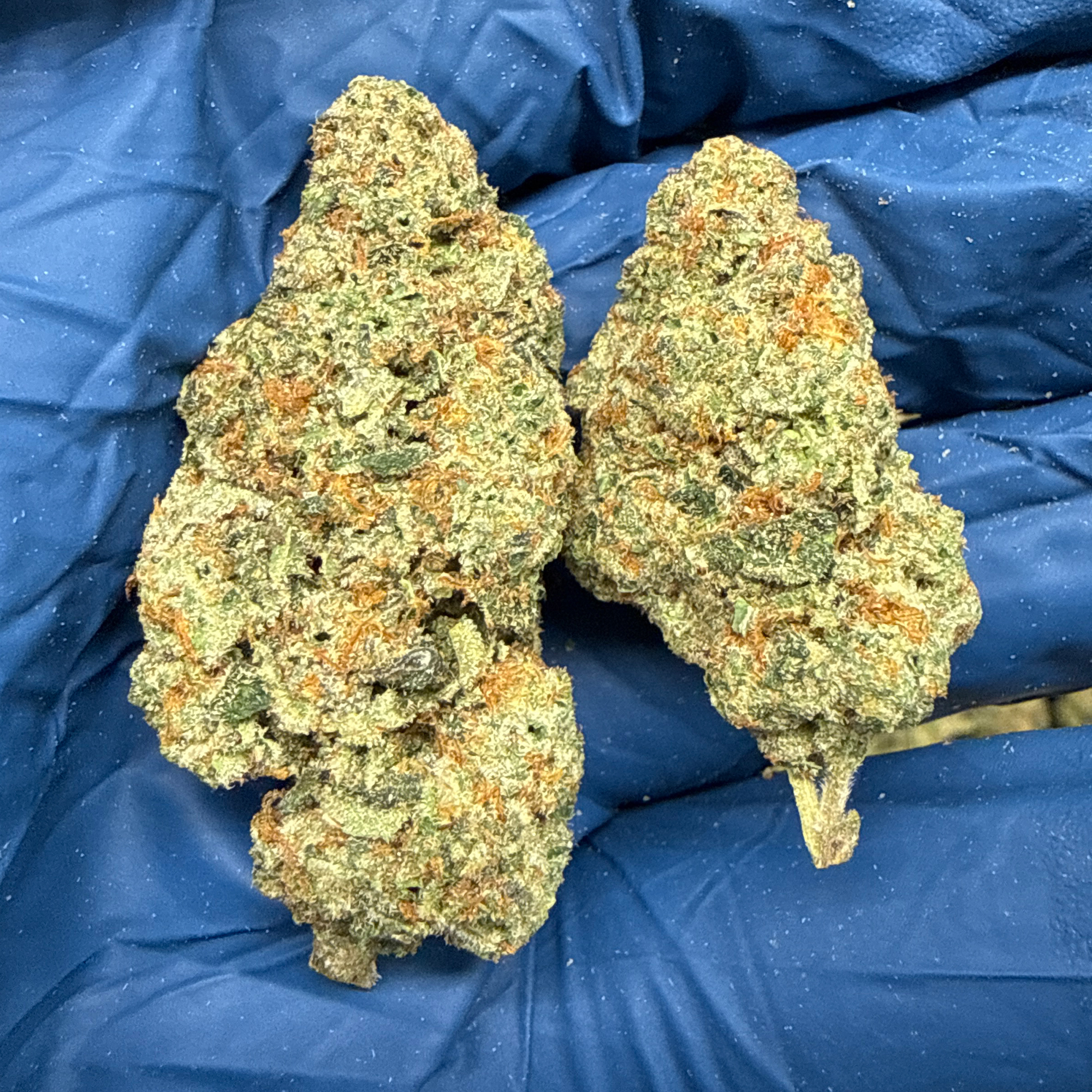 Jealousy THCA Flower Wholesale