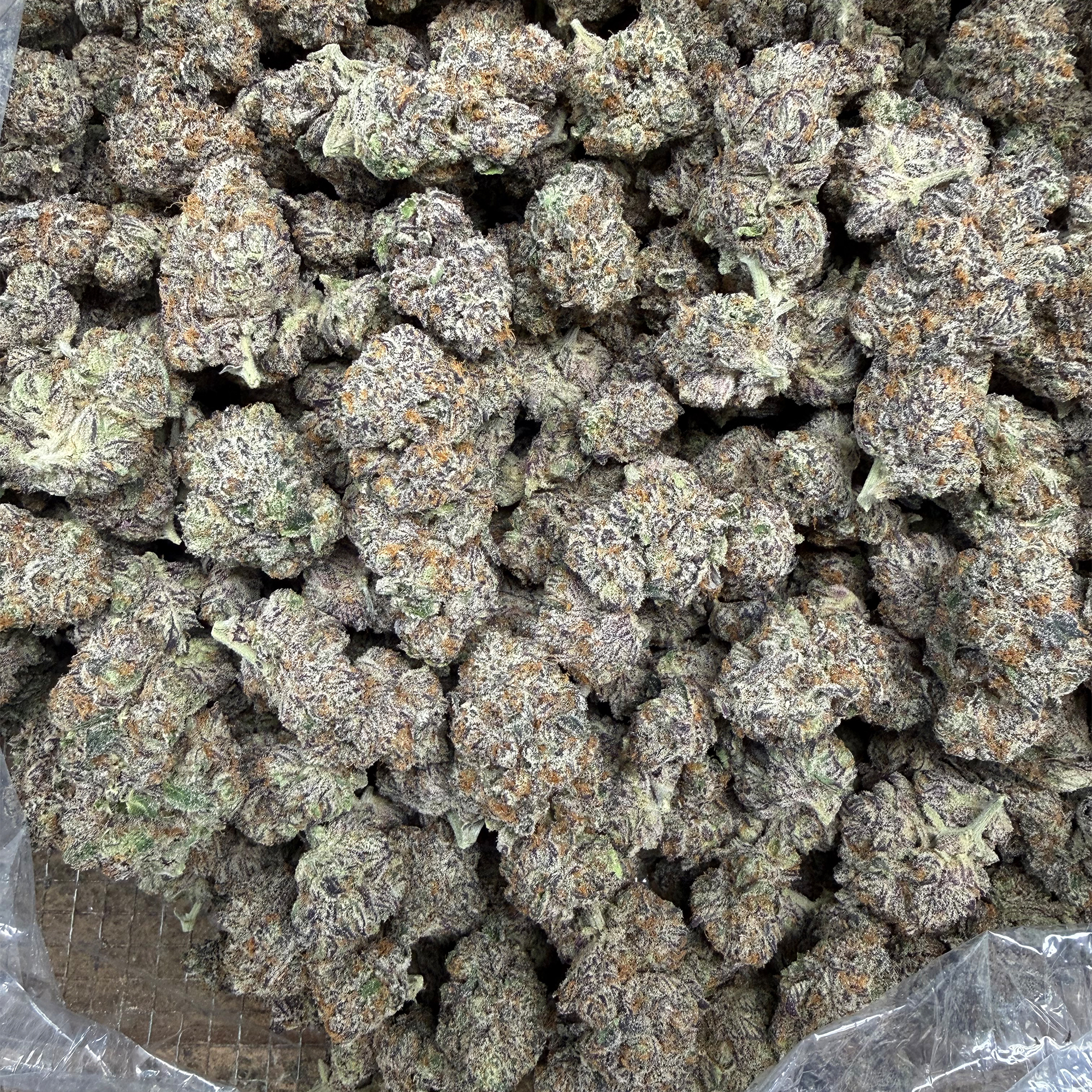 Unicorn Candy Premium THCA Flower