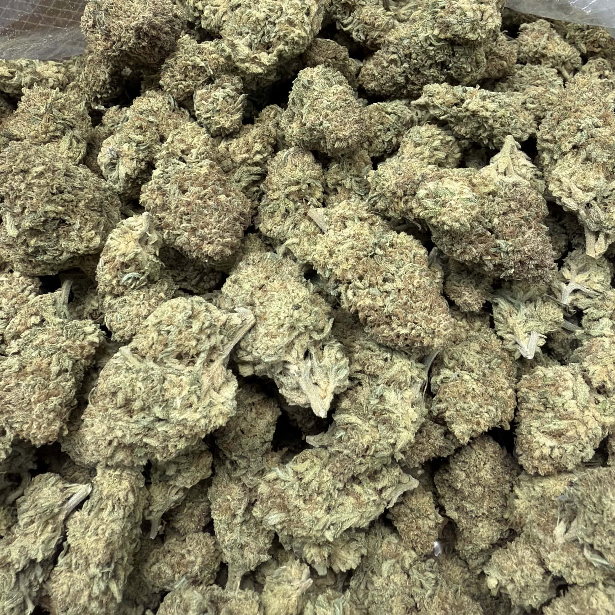 Garlic Mints Cheap THCA Flower