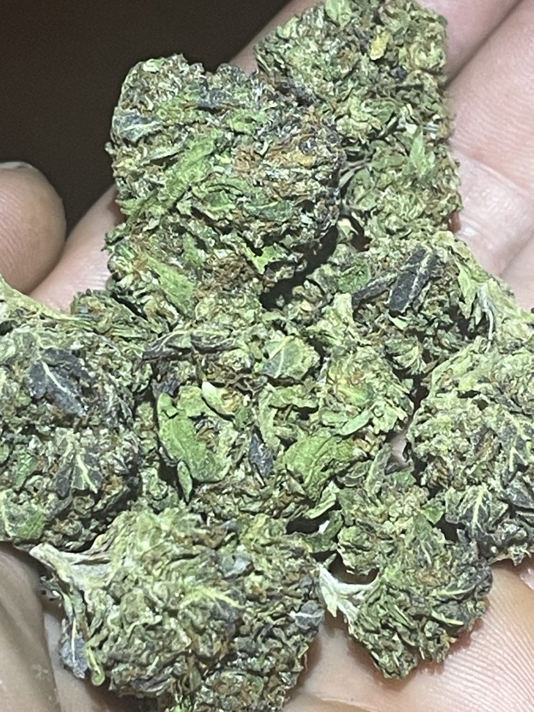 Image #1 from Anonymous