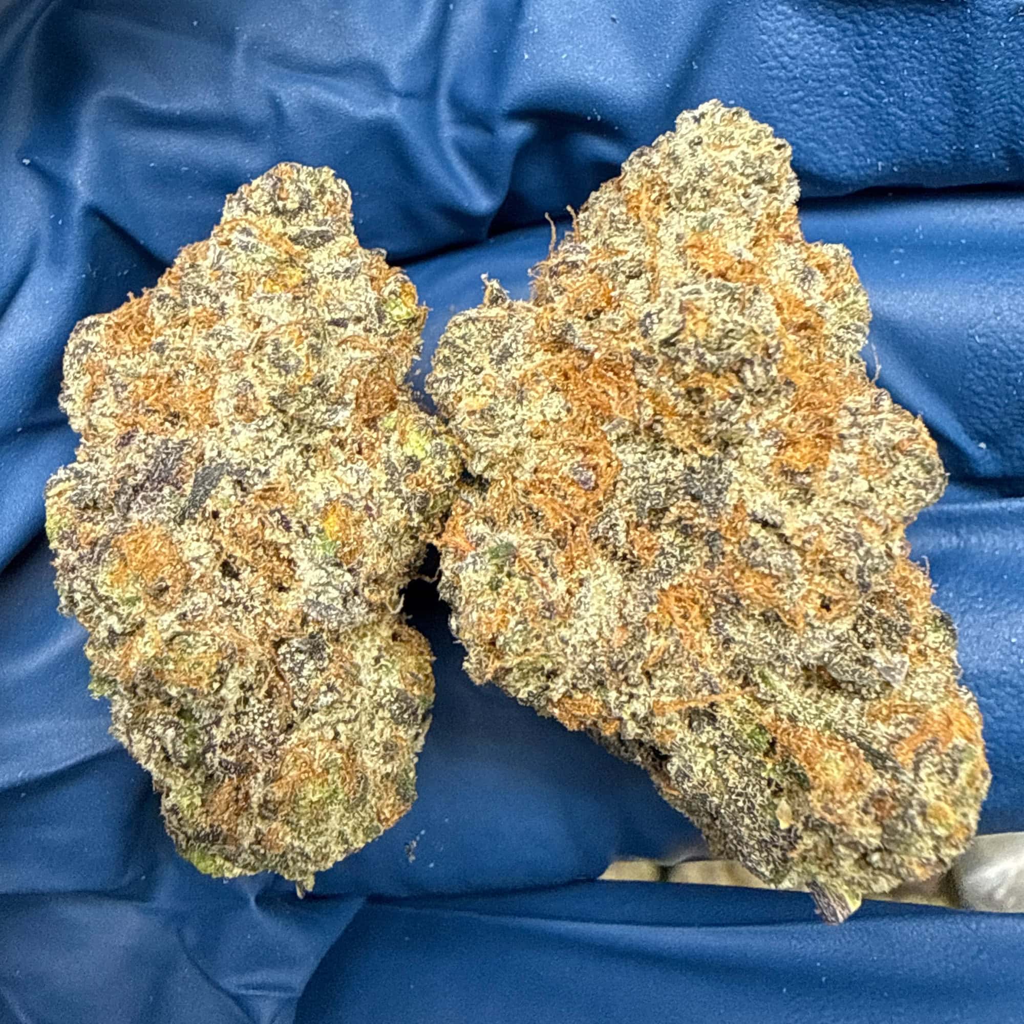 Purple Haze THCA Flower Bulk Pounds