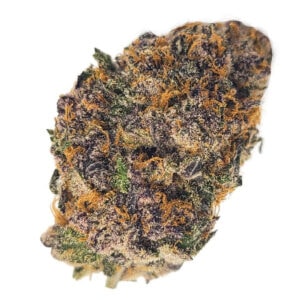 Blueberry THCA Flower for Sale