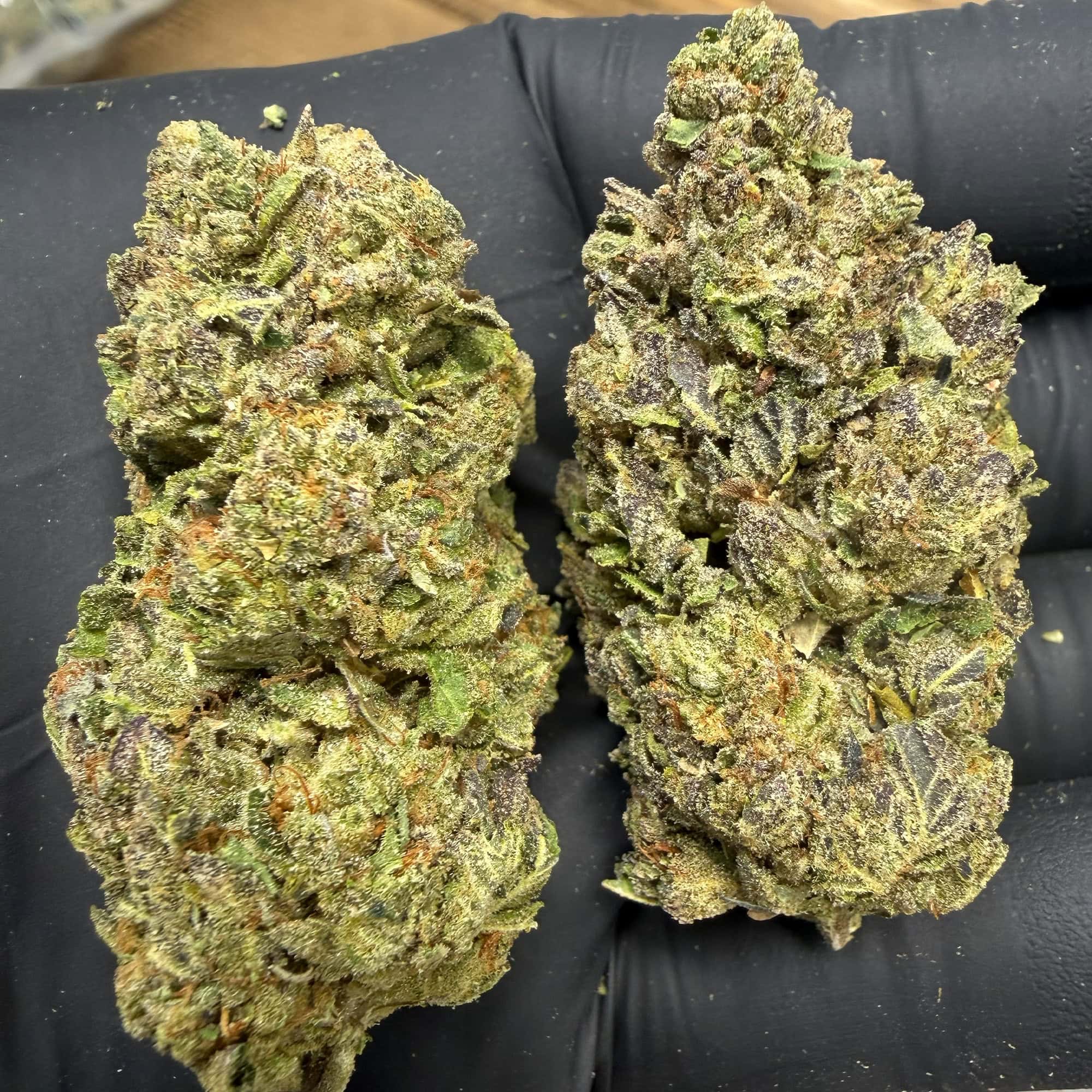 Candy Mob THCA Flower For Sale