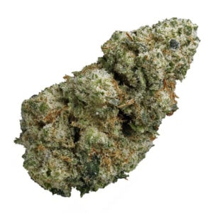 Alaskan Thunder Fuck Strain