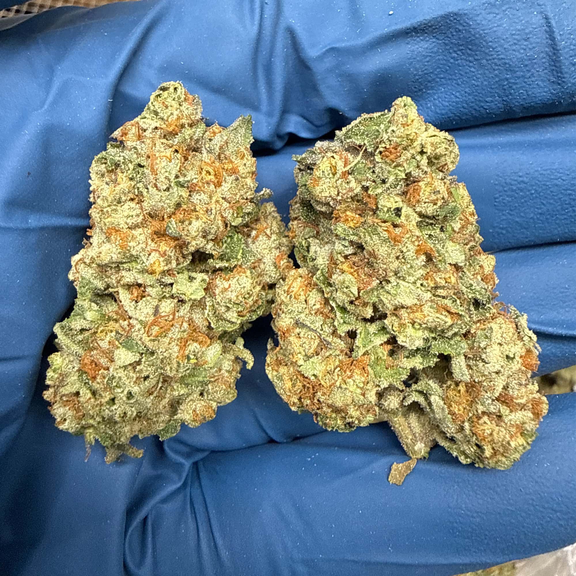 Grape Cake Cheap THCA Flower for Sale