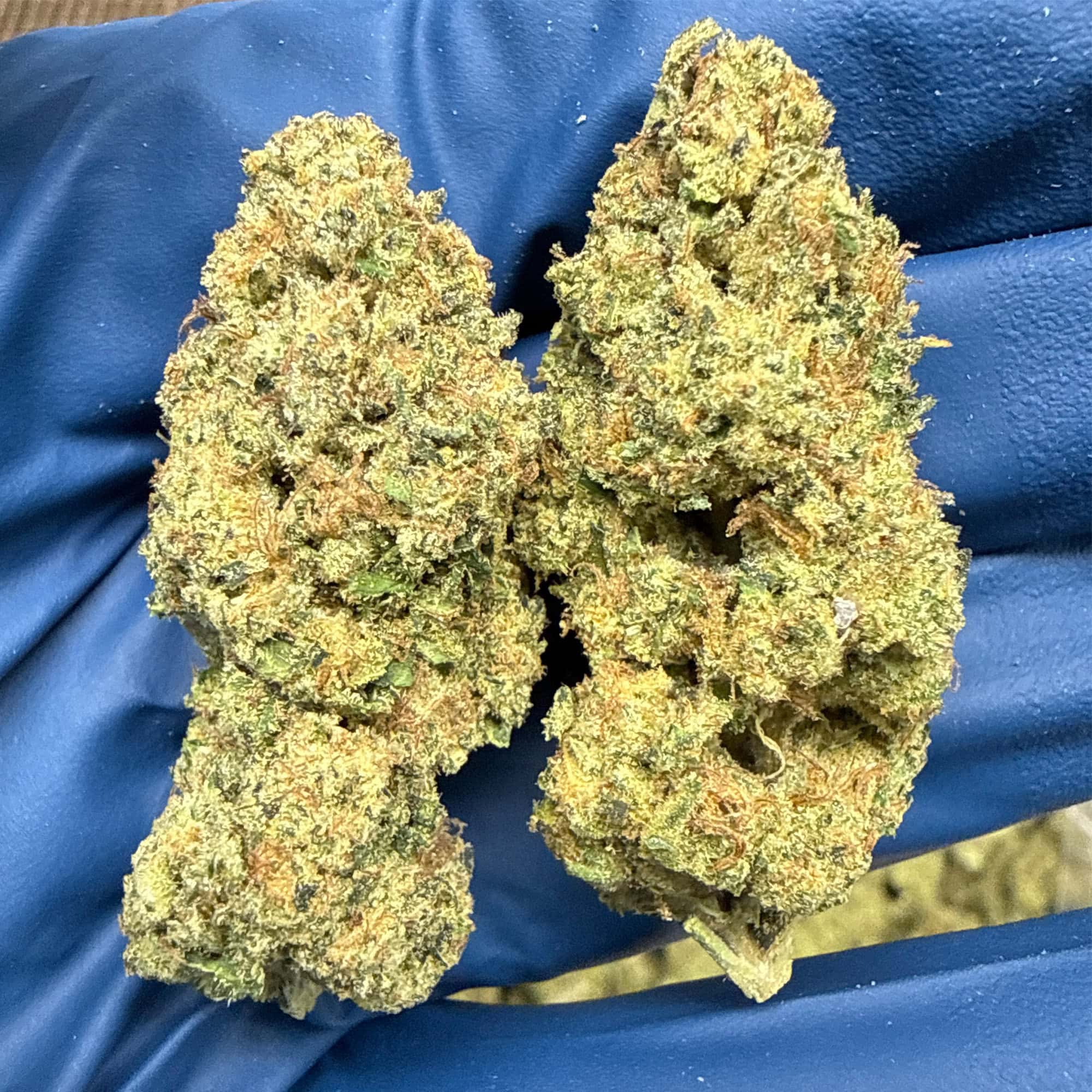 Pineapple Treatz THCA Flower Buds