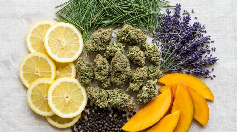 Cannabis Terpenes Guide and Chart: Myrcene, Limonene, Linalool and More
